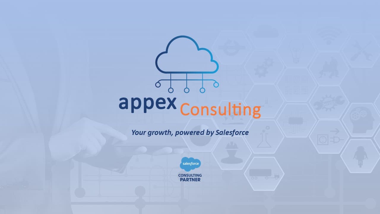 Appex Consulting image 1