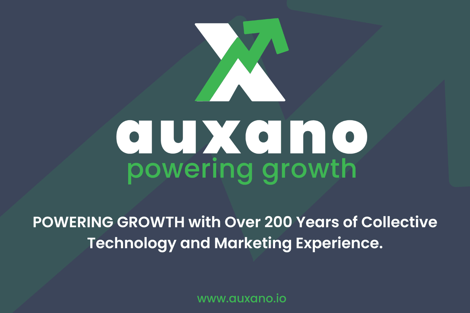 Auxano Technology Consultants image 1