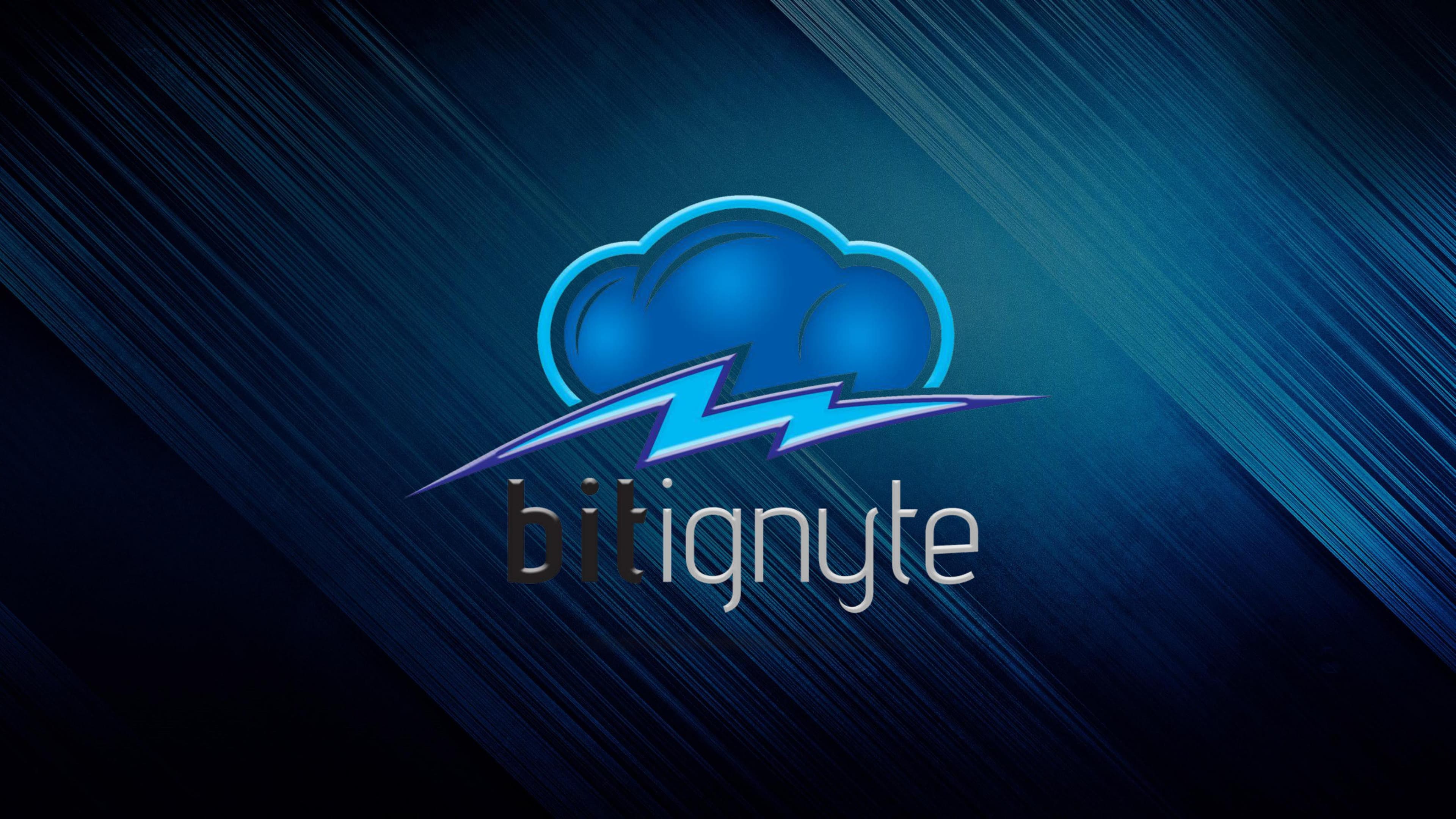 Bitignyte image 1