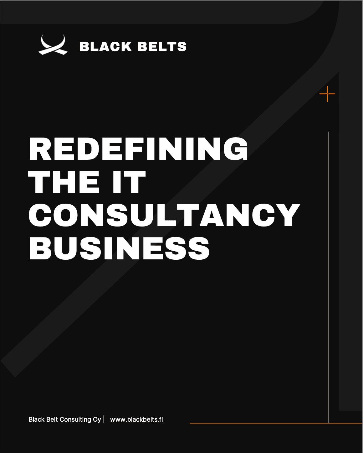 Black Belt Consulting image 1
