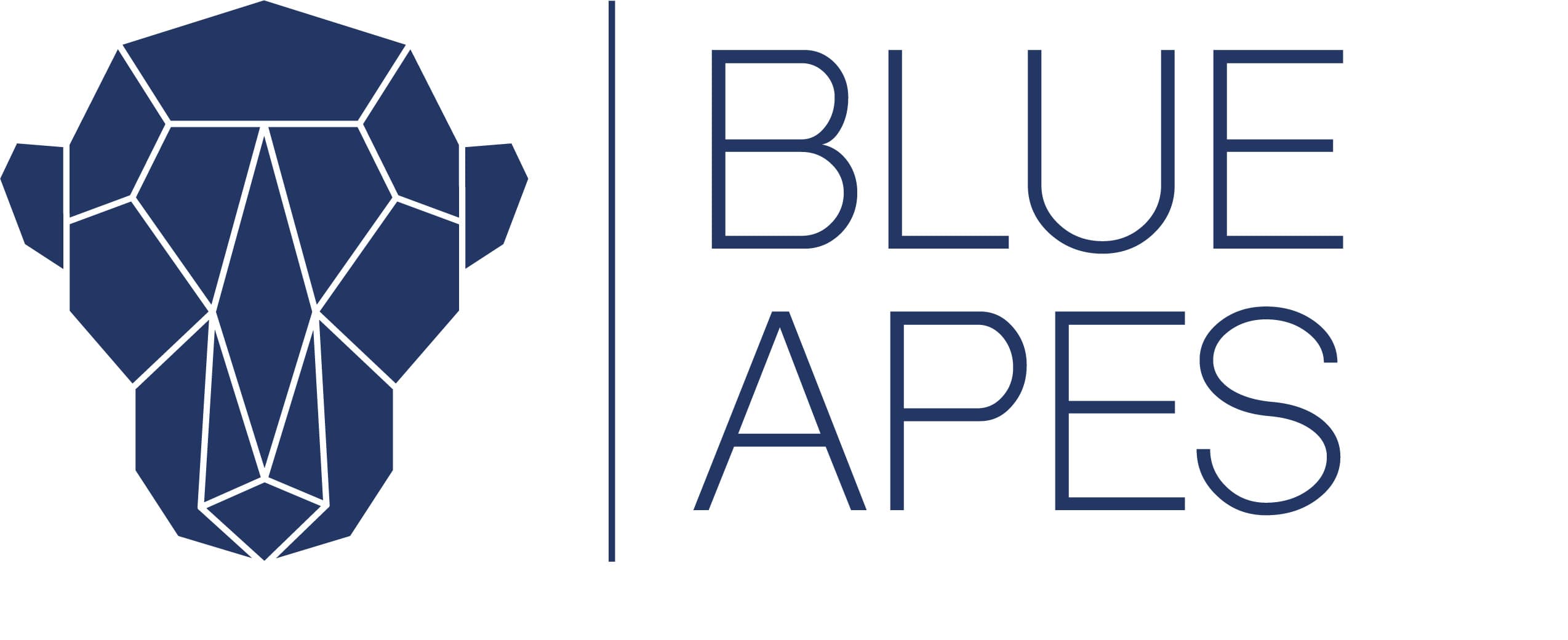 Blue Apes Consulting image 1