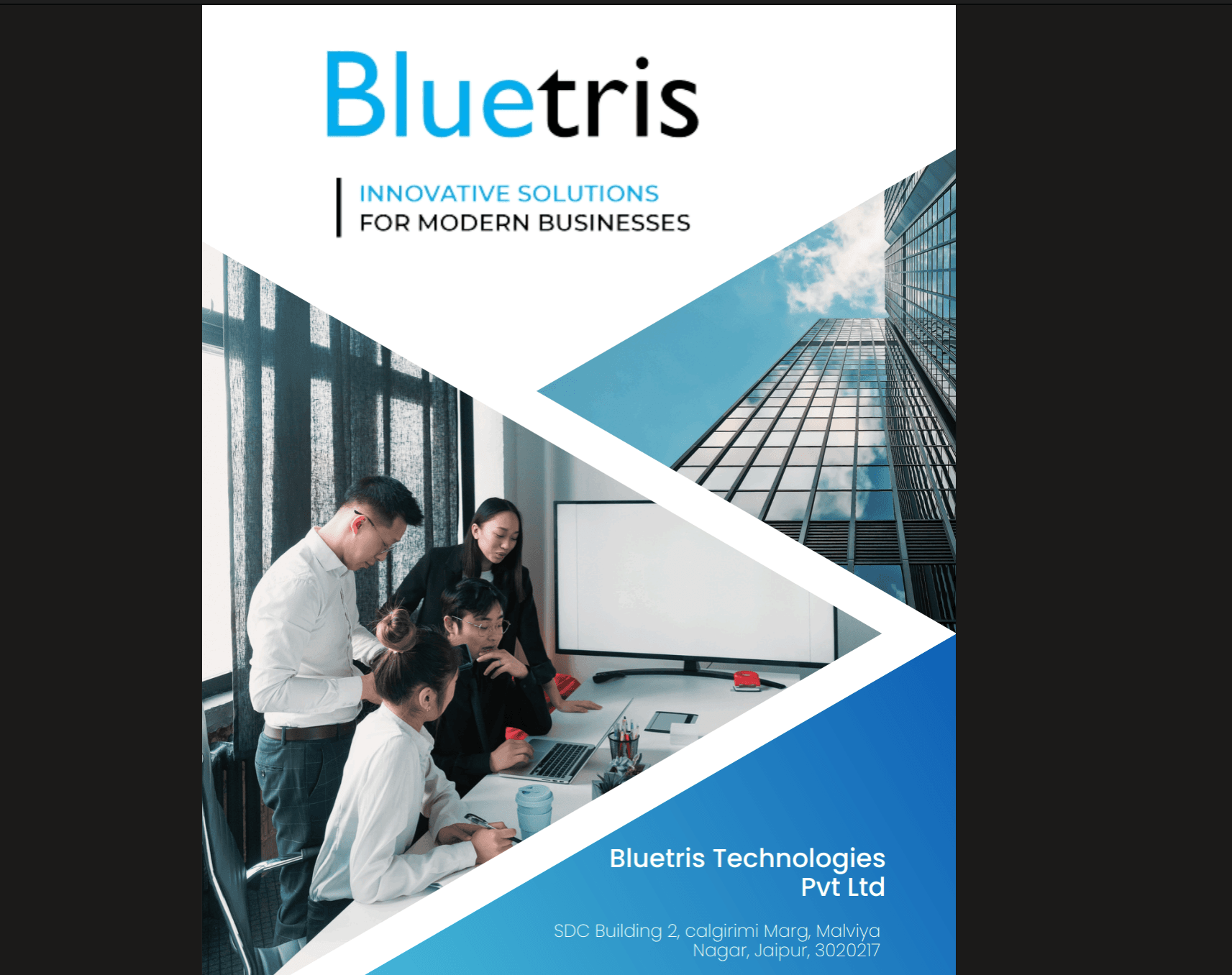 Bluetris Technologies Pvt Ltd image 1