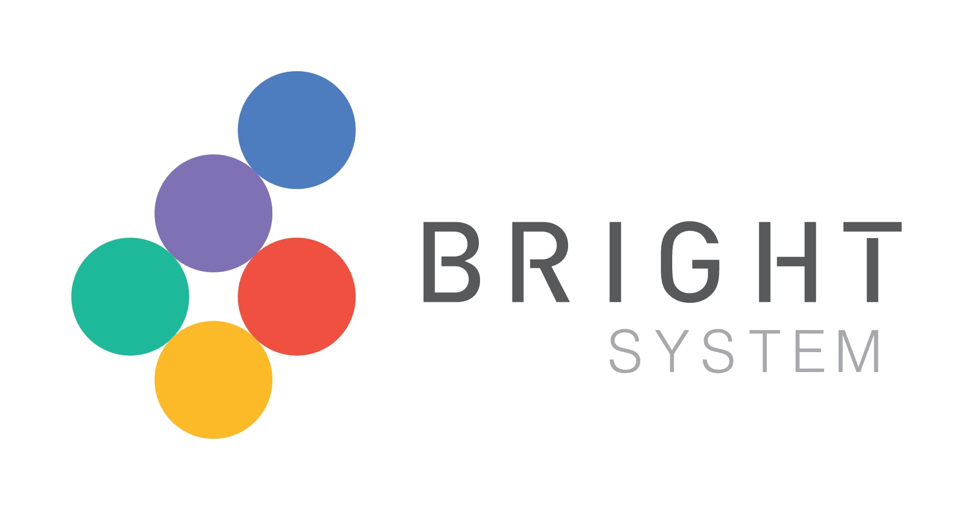 Bright System image 1