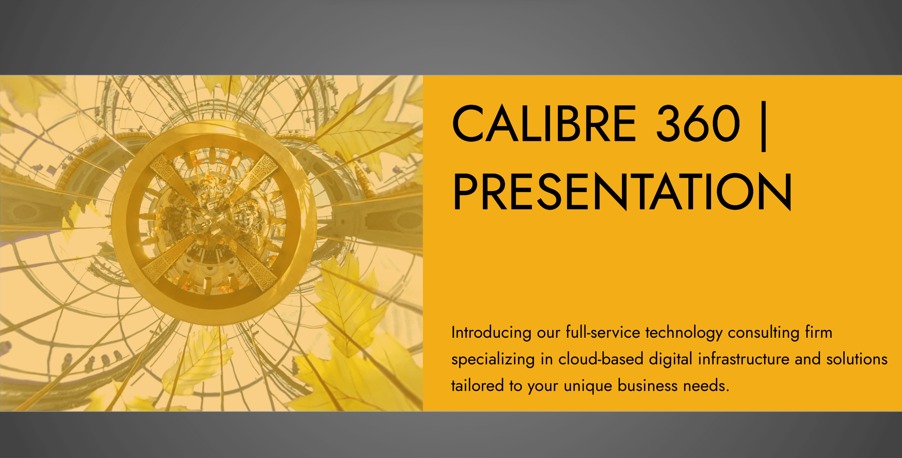 Calibre360 image 1