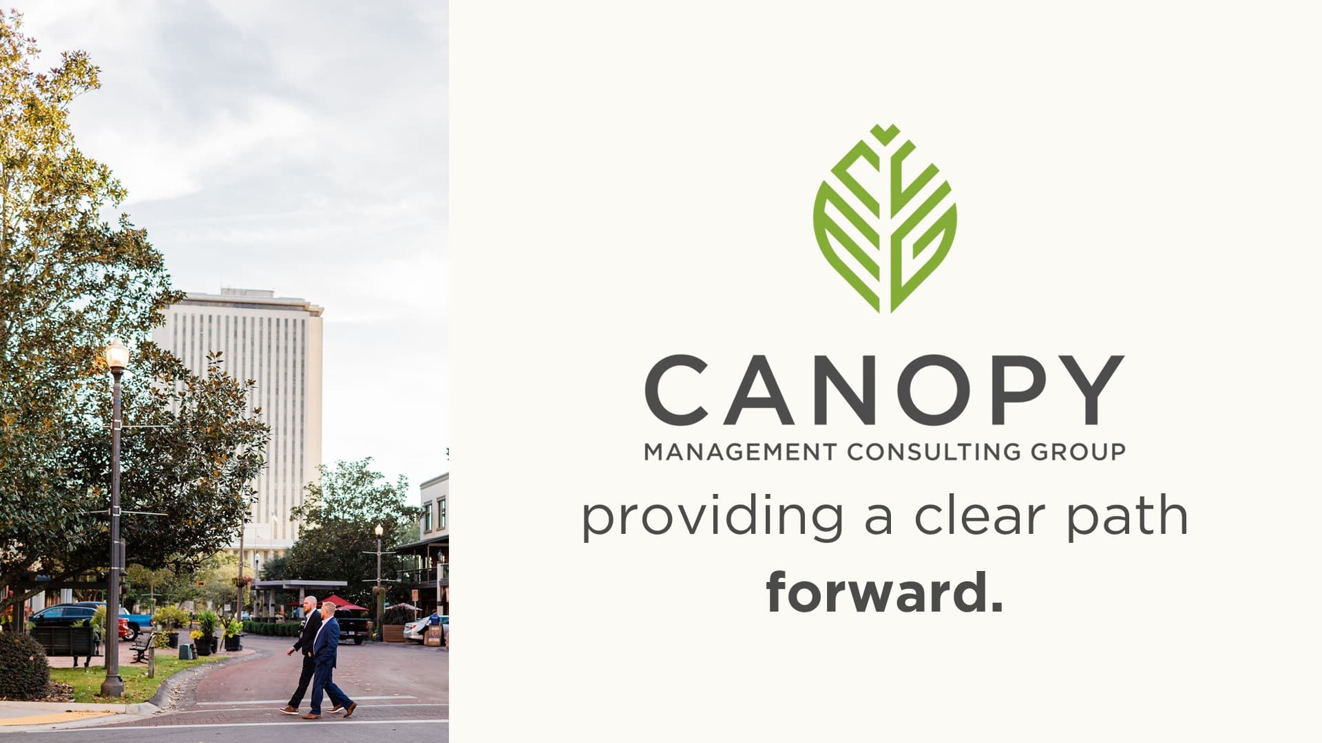 Canopy Management Consulting Group image 1