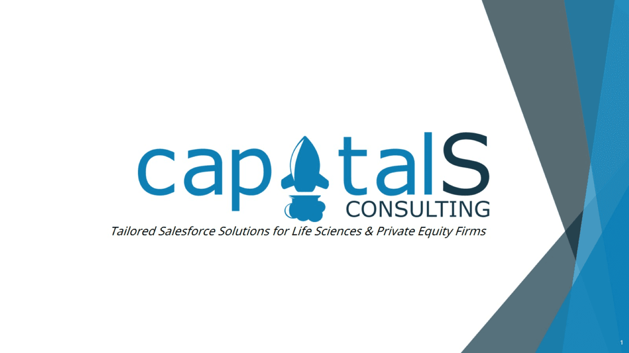 Capital S Consulting image 1
