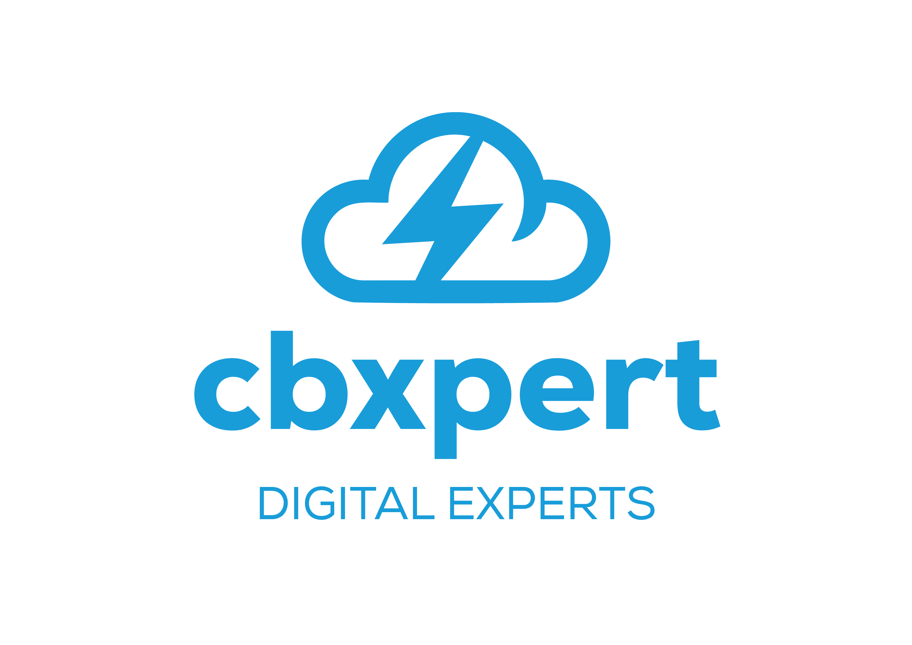 CBXPERT CONSULTORIA EM SISTEMAS DE INFORMACAO LTDA image 1