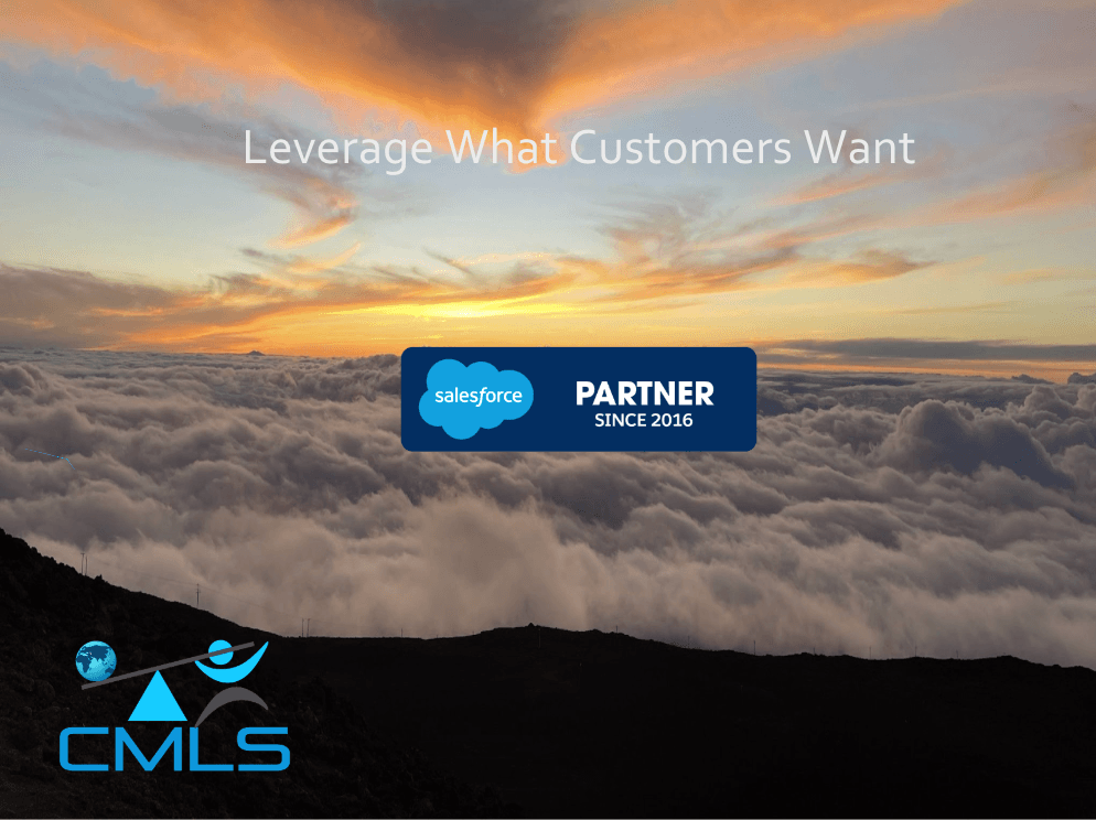 CM Leveraged Solutions image 1