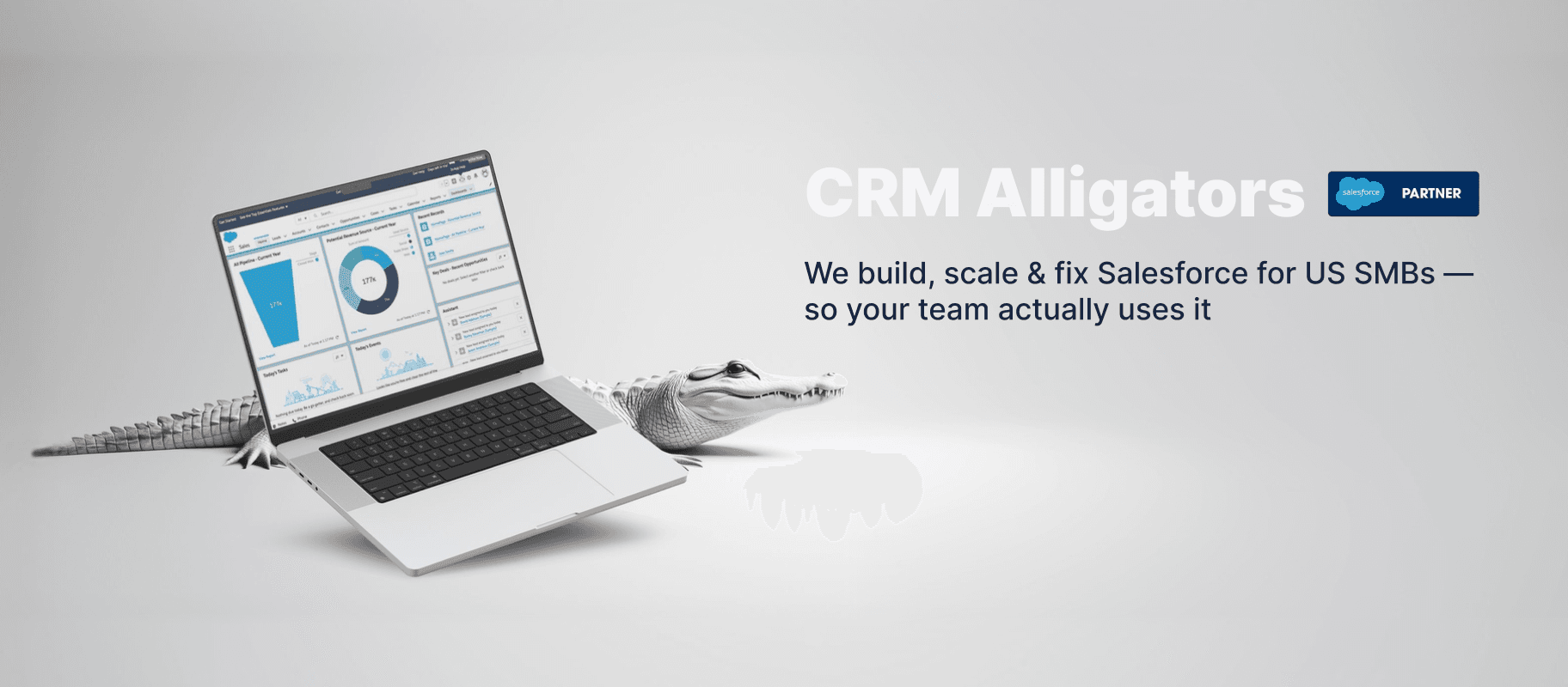 CRM Alligators image 1