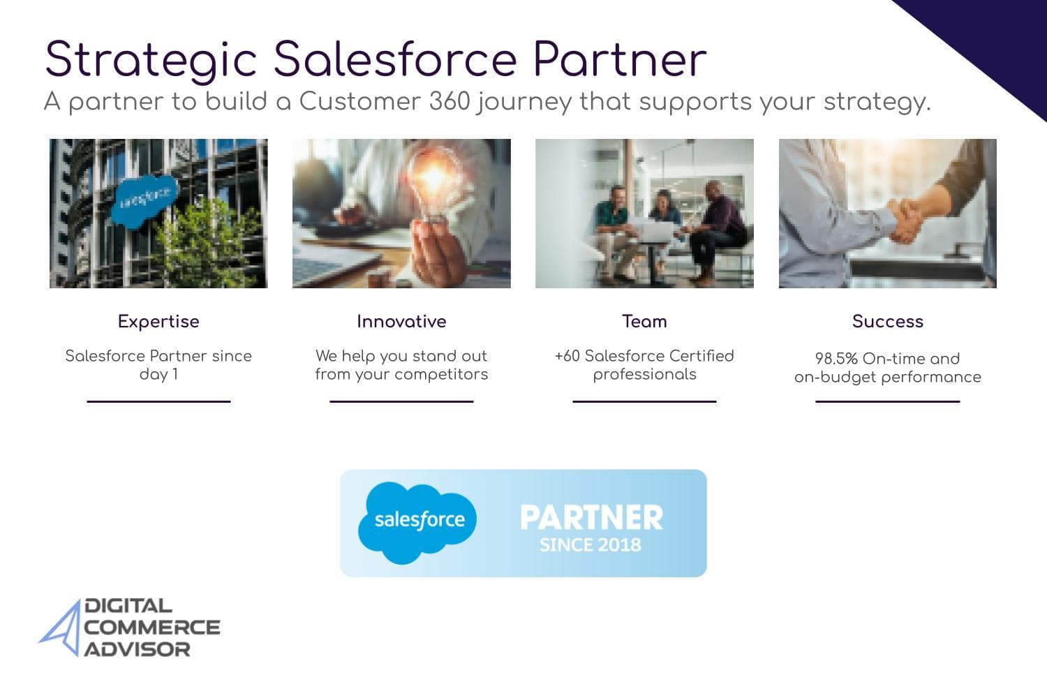 Digital Commerce Advisor image 1