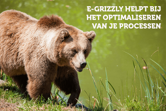 E-grizzly image 1