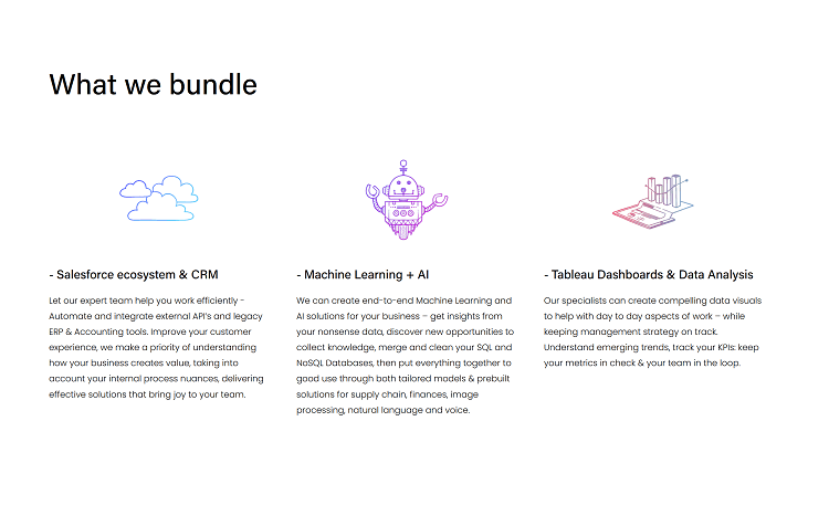 Insight Bundle image 1