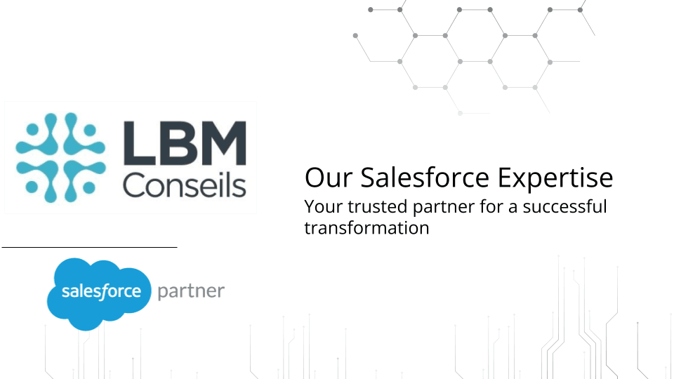 LBM Conseils inc. image 1