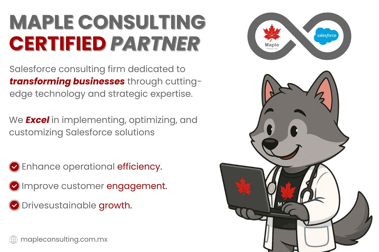 Maple Consulting image 1