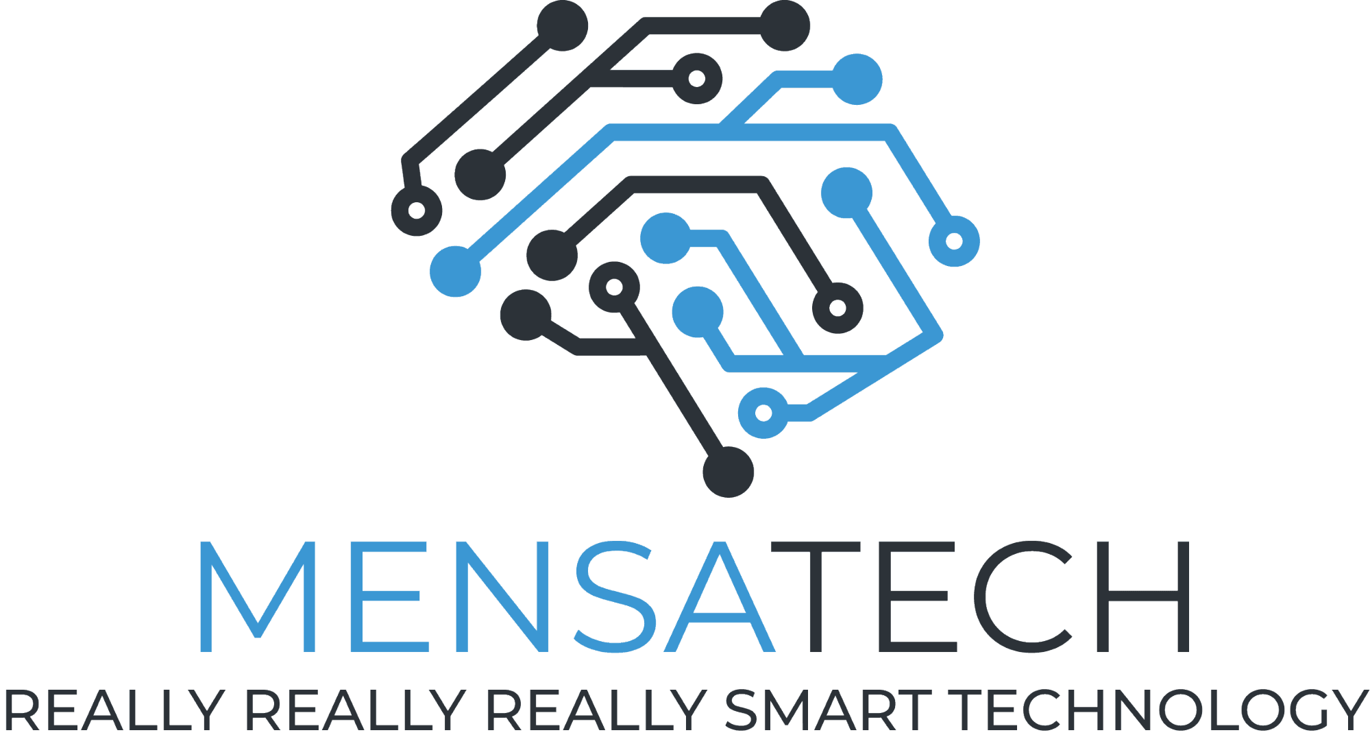 Mensatech image 1
