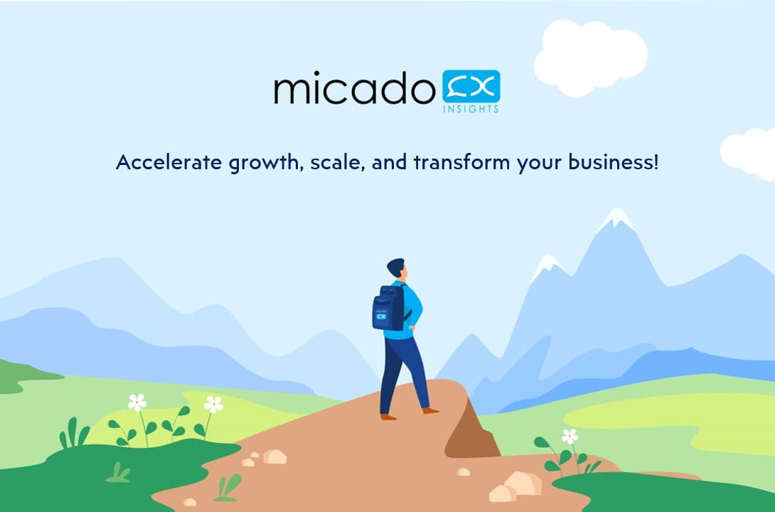 Micado Limited image 1