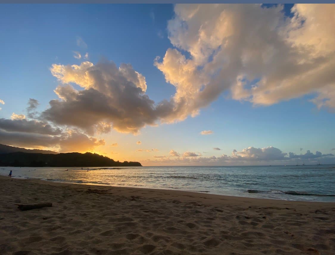 North Shore Solutions image 1
