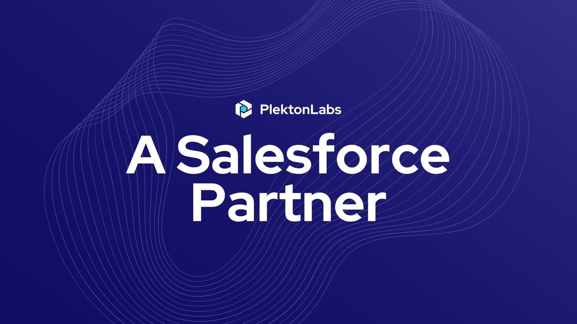 PlektonLabs image 1