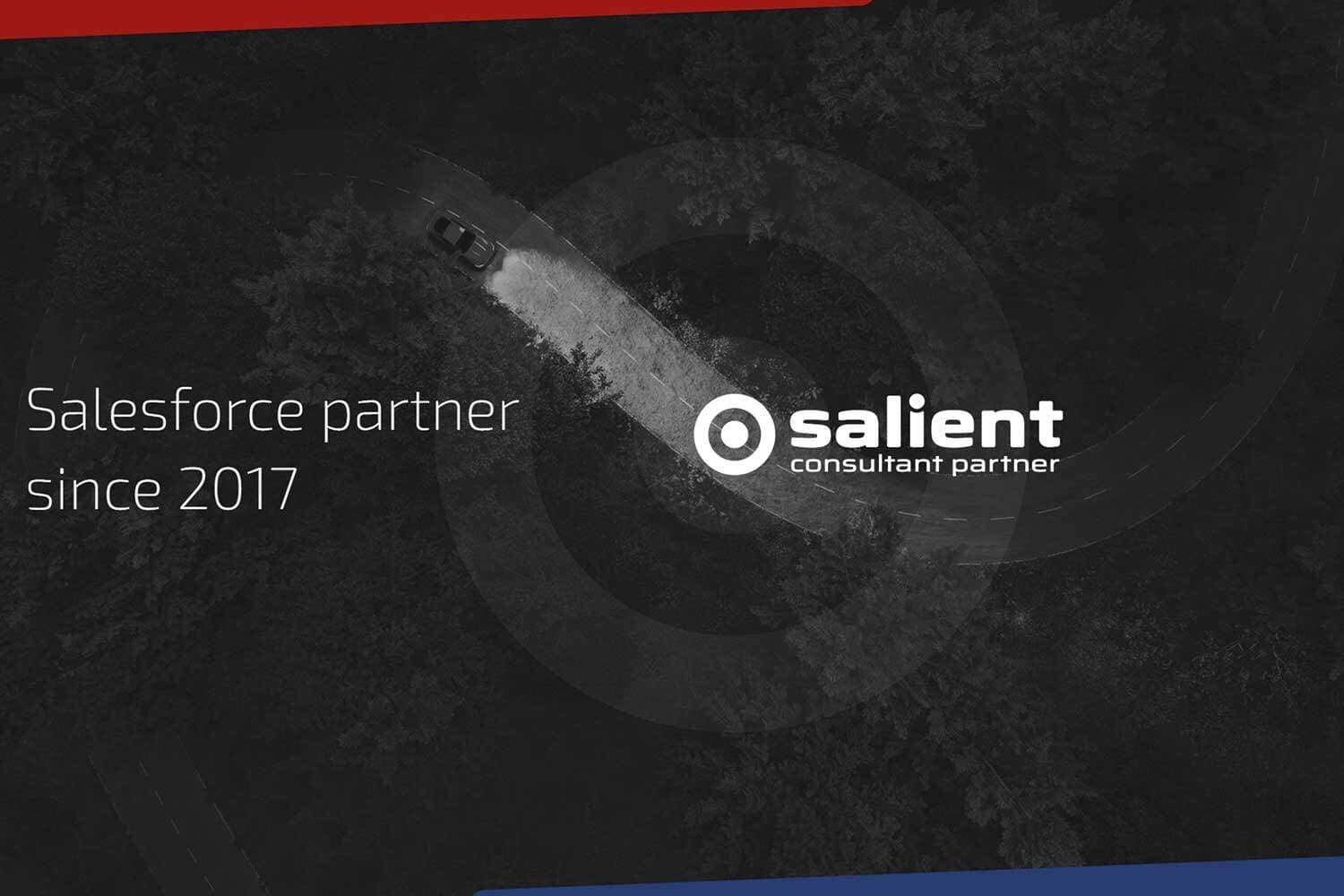 Salient Consultant Partner image 1