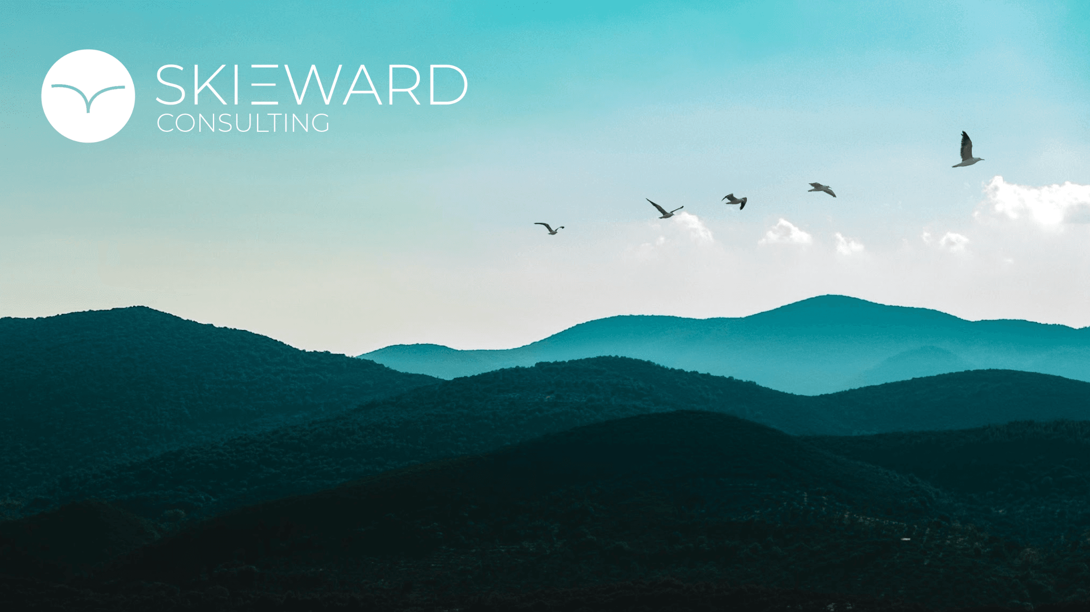Skieward Consulting Limited image 1