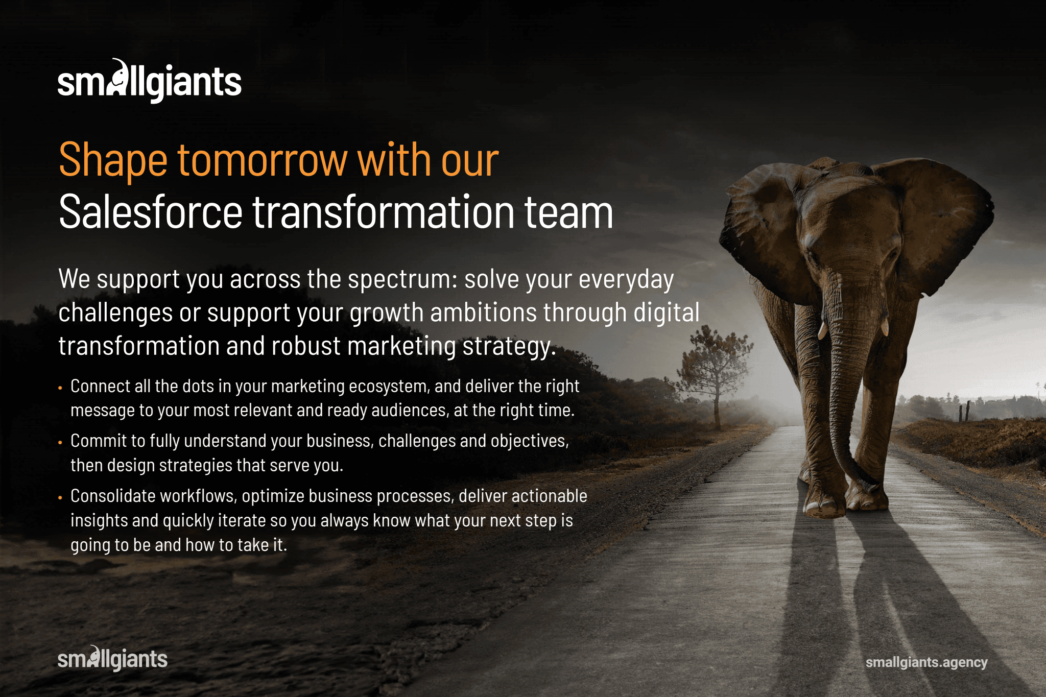 SmallGiants.Agency image 1