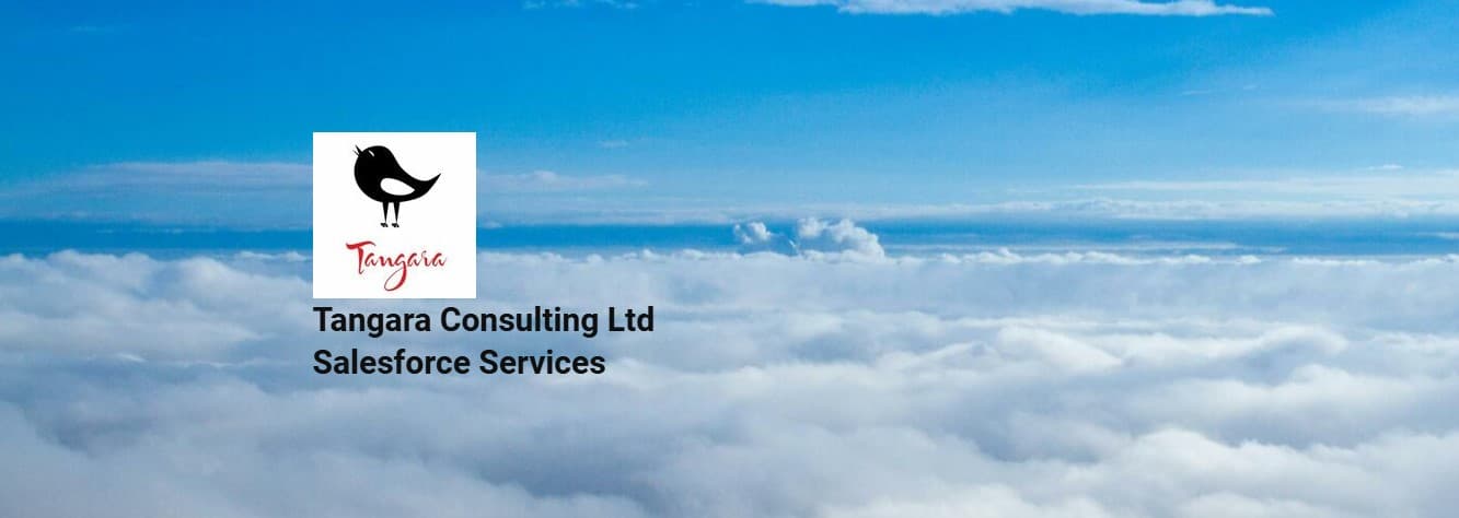 Tangara Consulting image 1