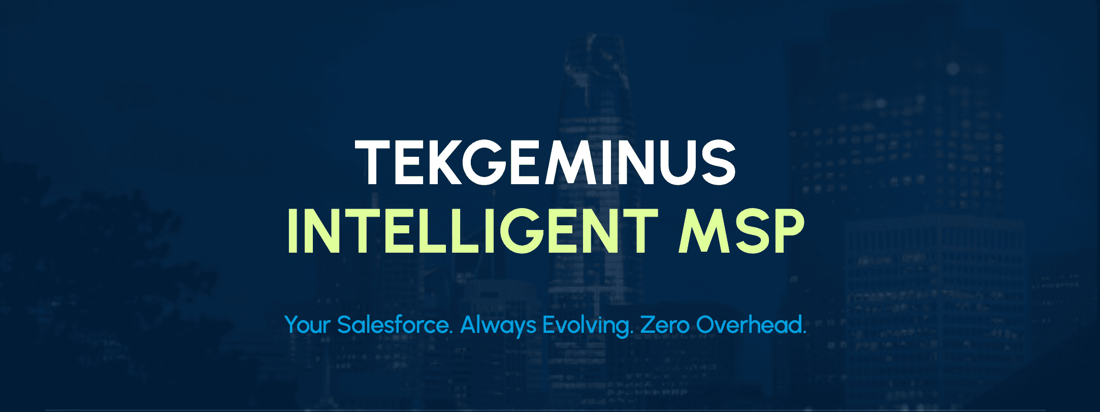Tekgeminus Solutions image 1