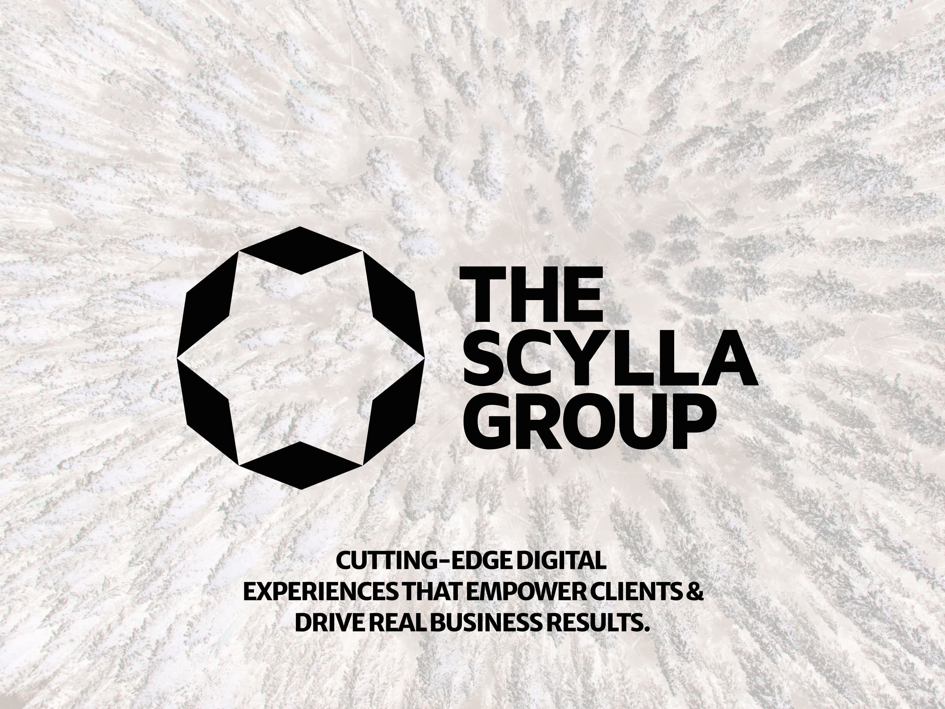 The Scylla Group image 1