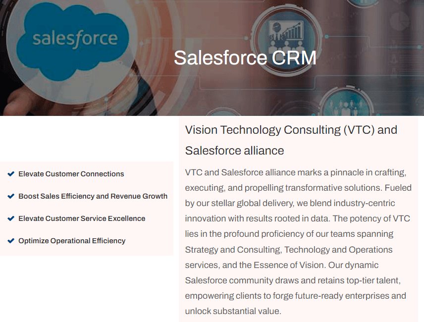 Vision Technology Consulting image 1