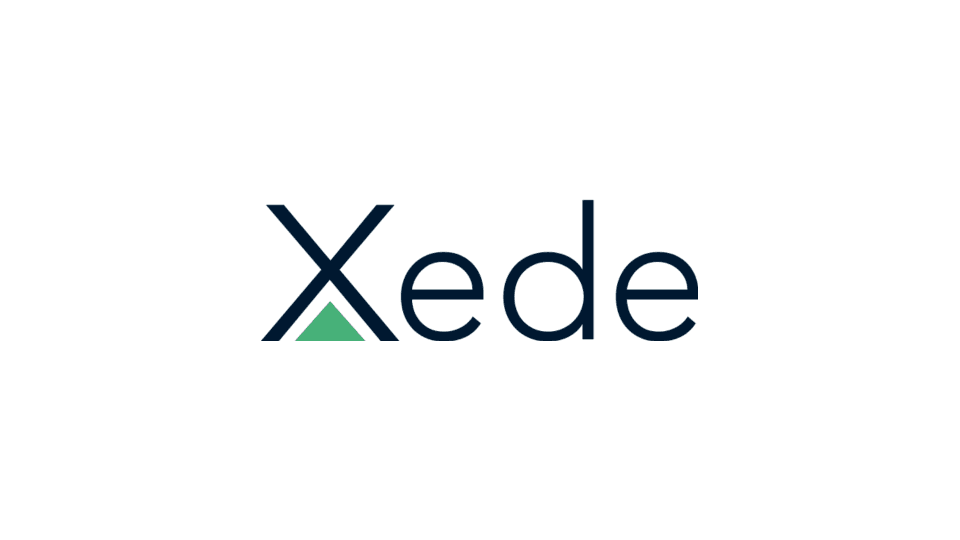Xede Consulting Group image 1