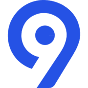 Levi9 IT Services logo