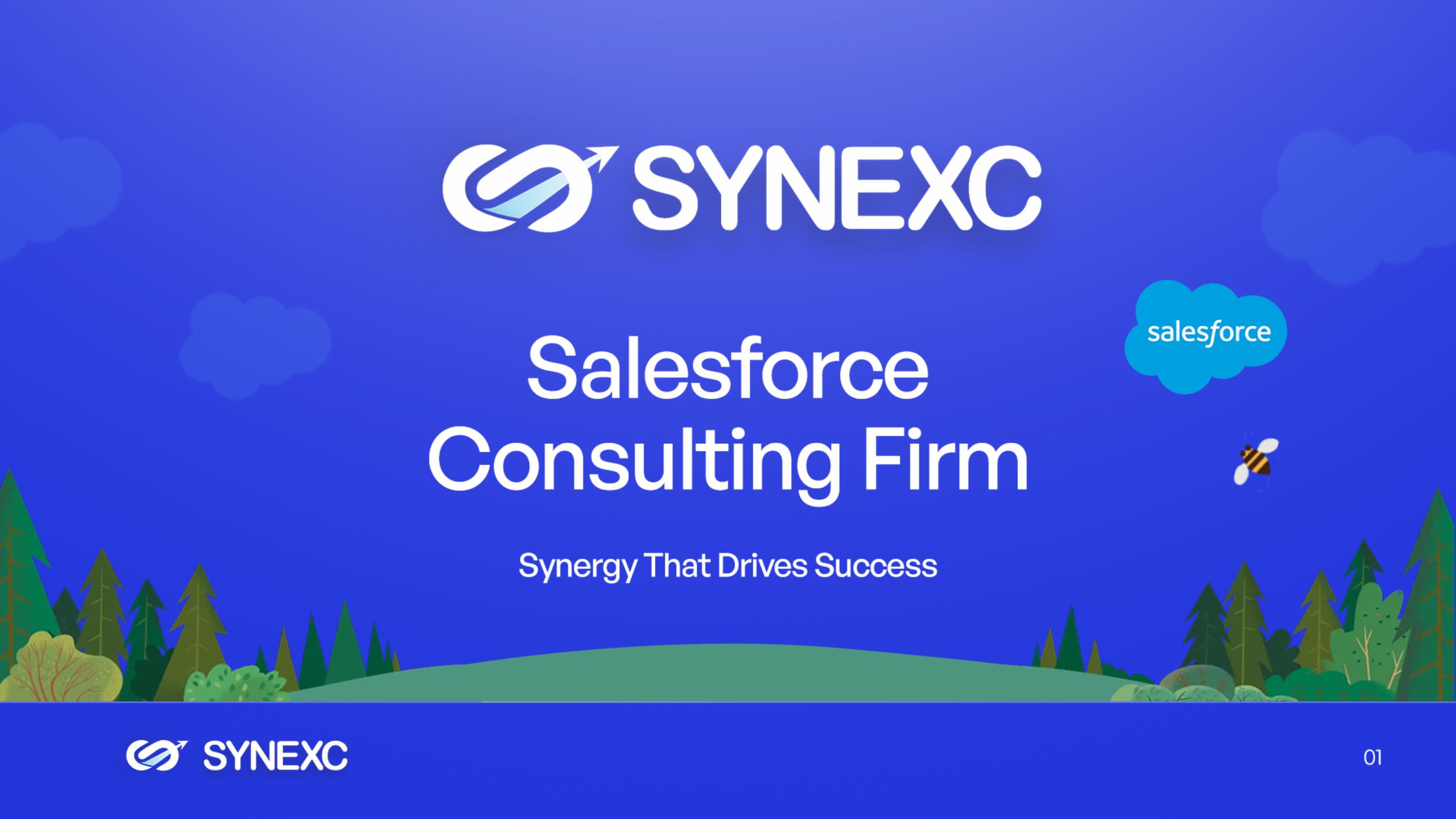 Synexc IT Solutions image 1