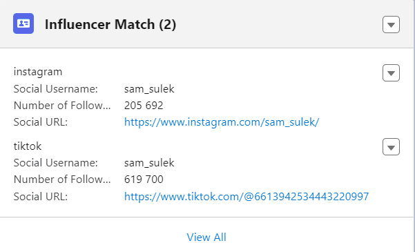 Influencer Match results