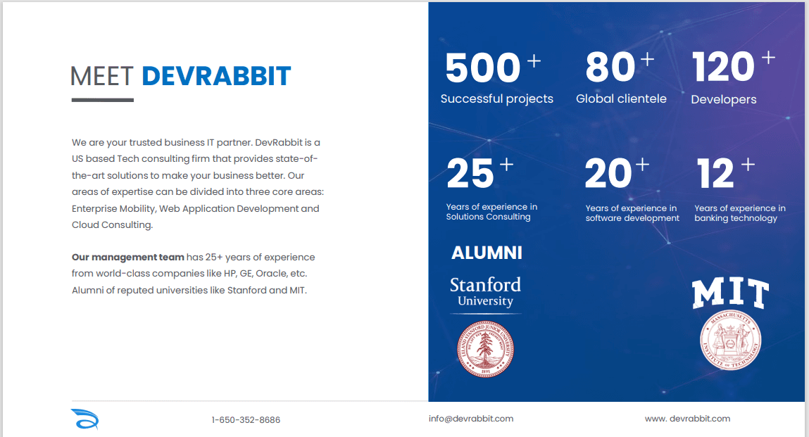 Devrabbit IT Solutions* image 1