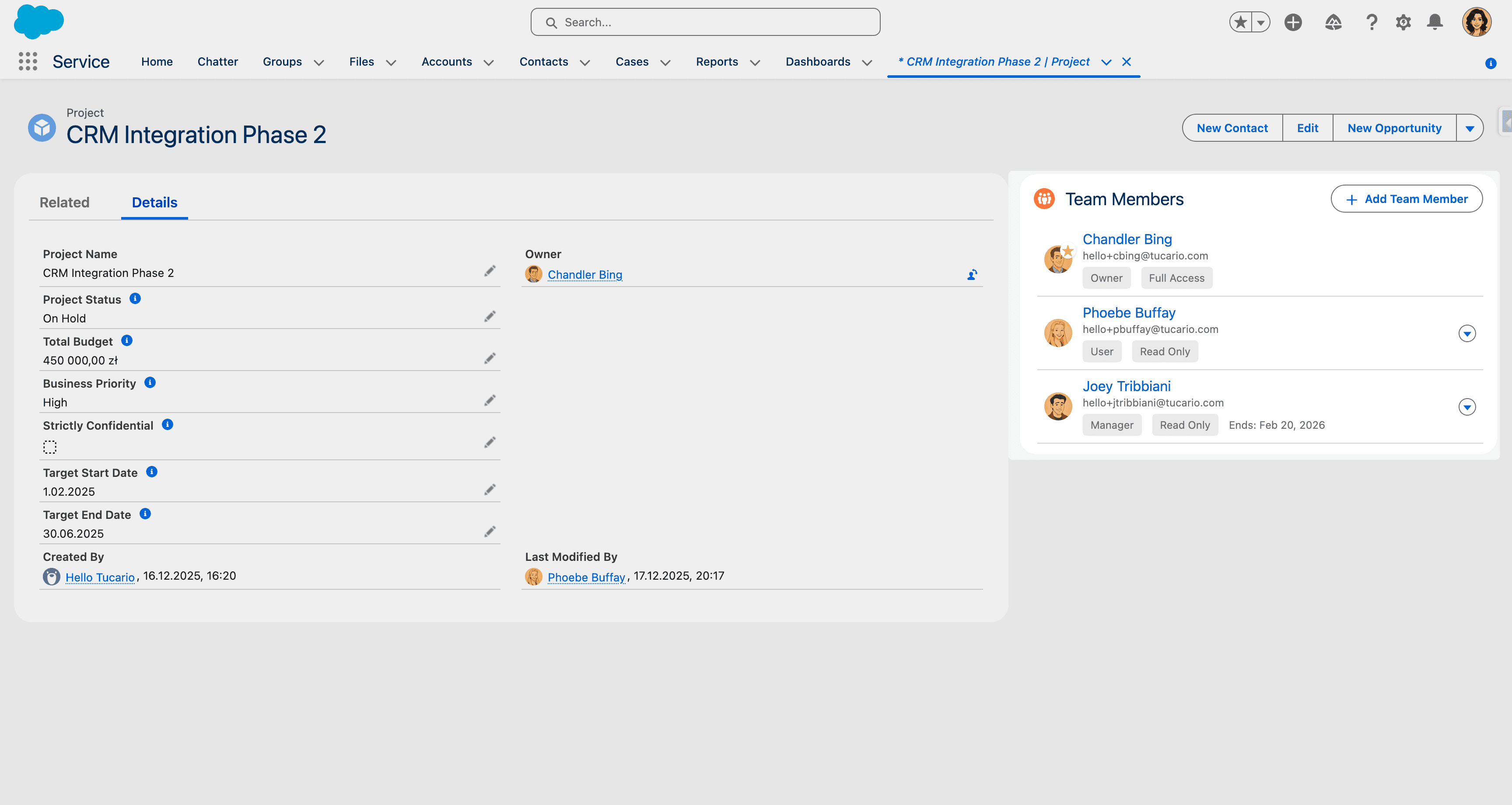 Team Members component showing roles, access levels, and expiration at a glance.