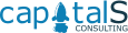 Capital S Consulting logo