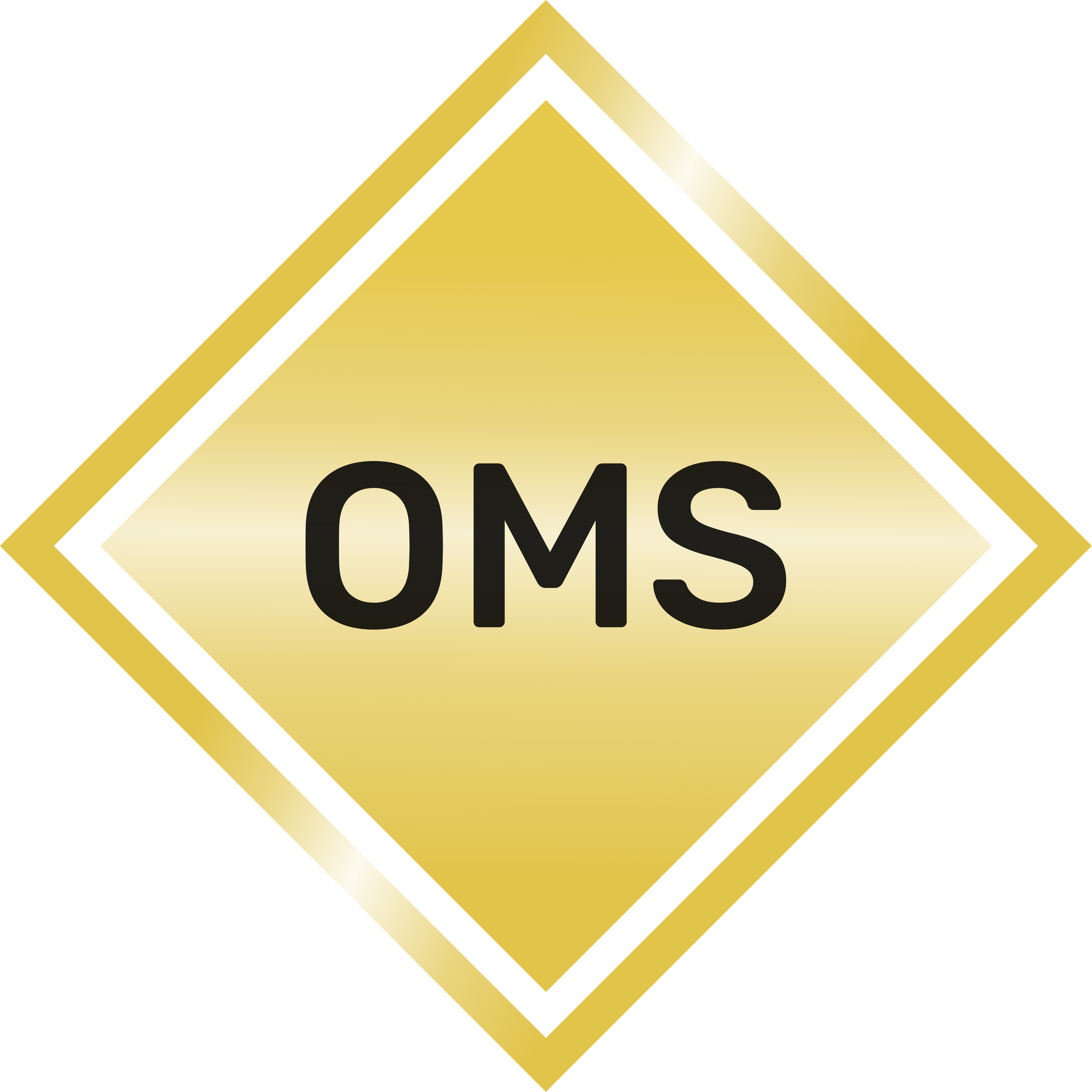 Owethu Managed Services image 1