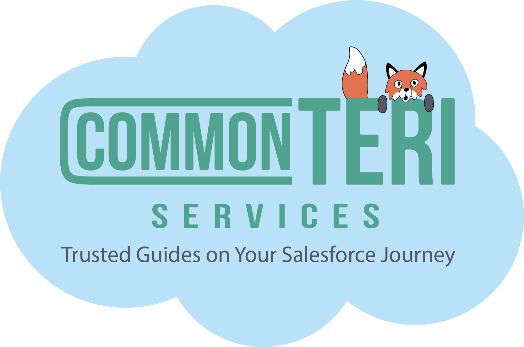 CommonTeri Services image 1