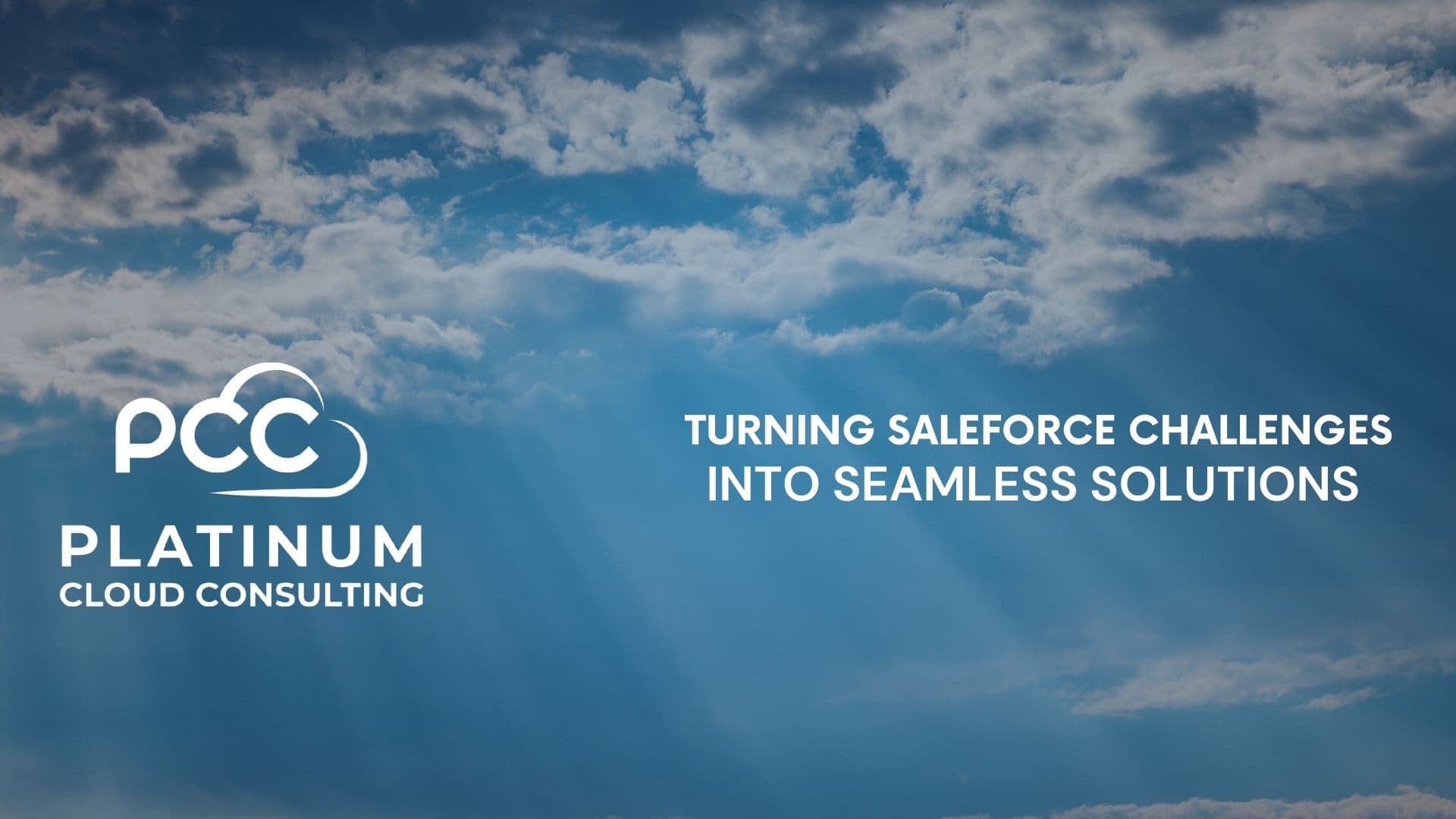 Platinum Cloud Consulting LLC image 1