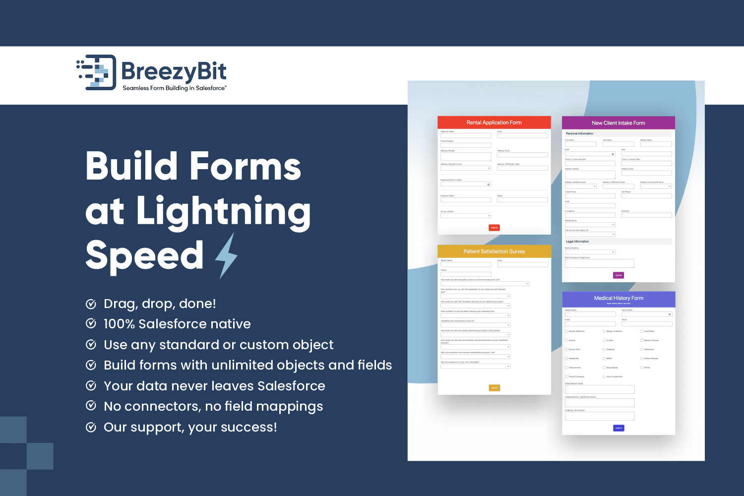 Drag, Drop, Done!!! Creating forms in Salesforce with BreezyBit is super easy!!!