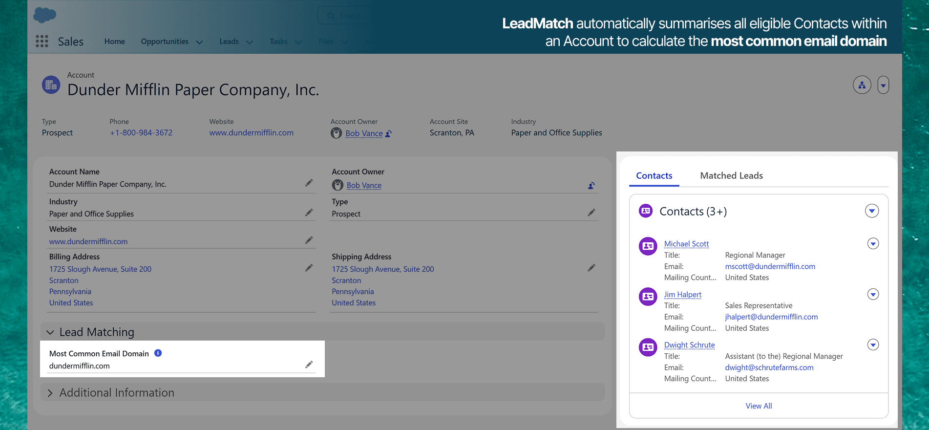 LeadMatch automatically summarises each Account to calculate the most commonly-occuring email domain