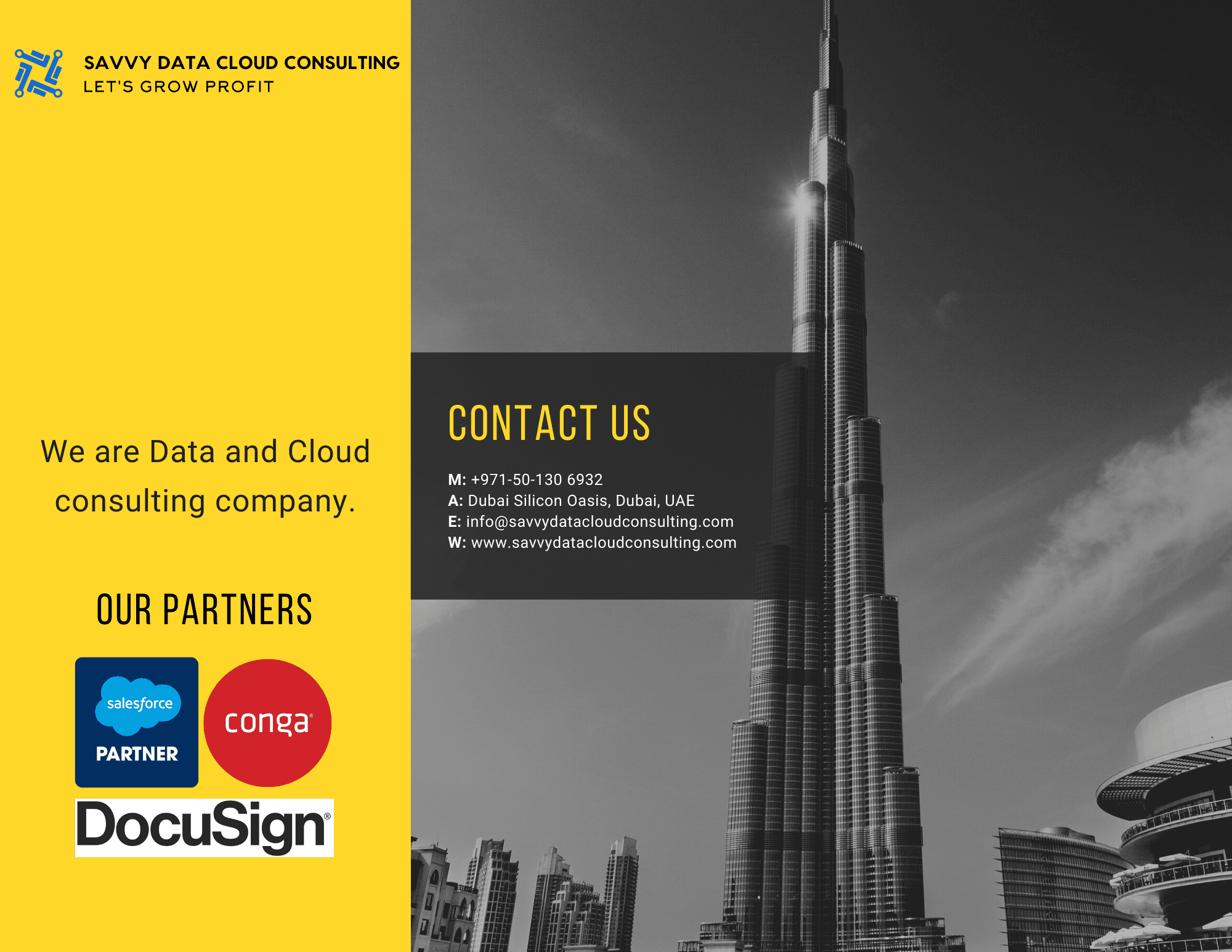 Savvy Data Cloud Consulting image 1