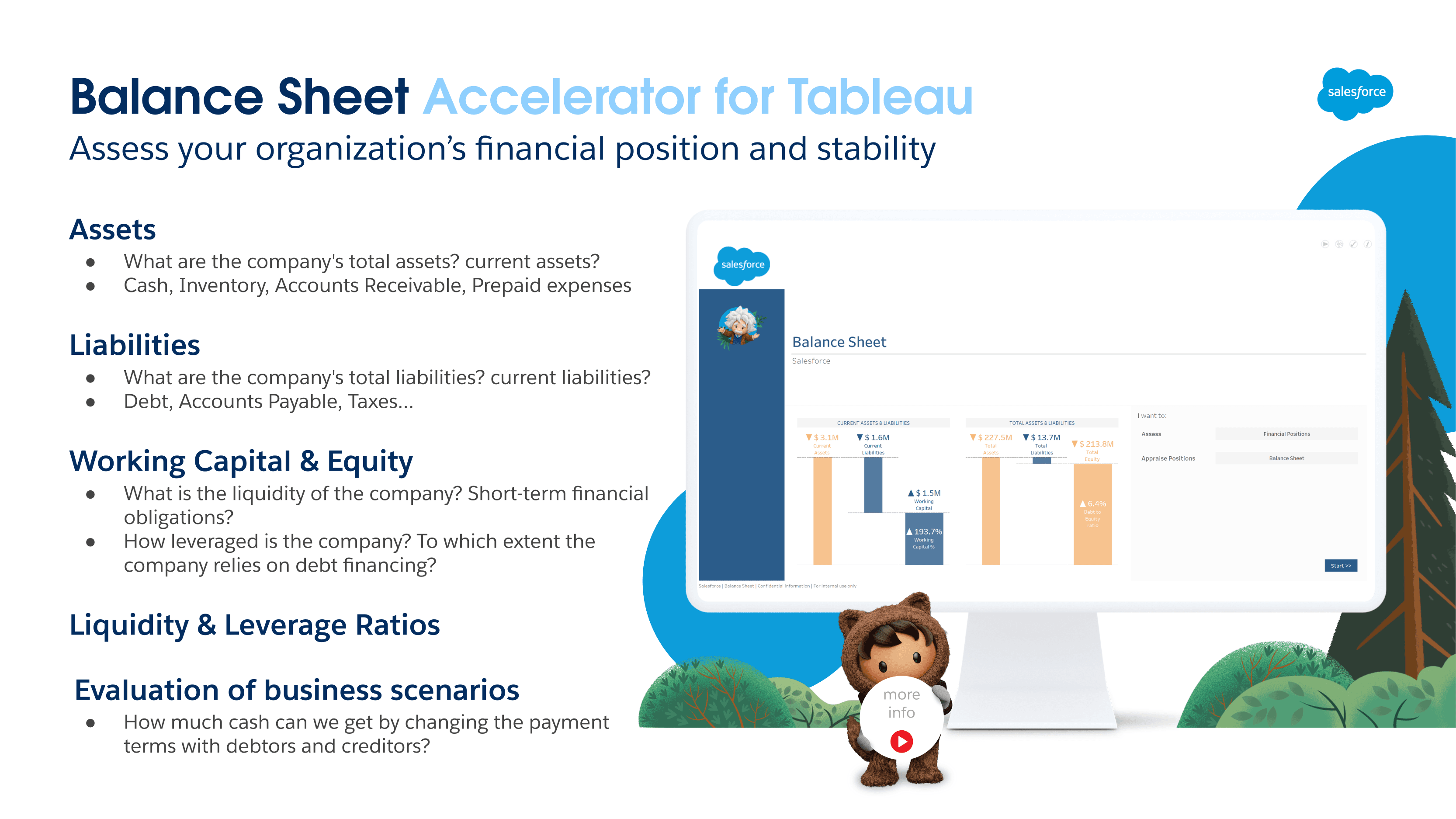 BALANCE SHEET (+BUDGET) screenshot 1