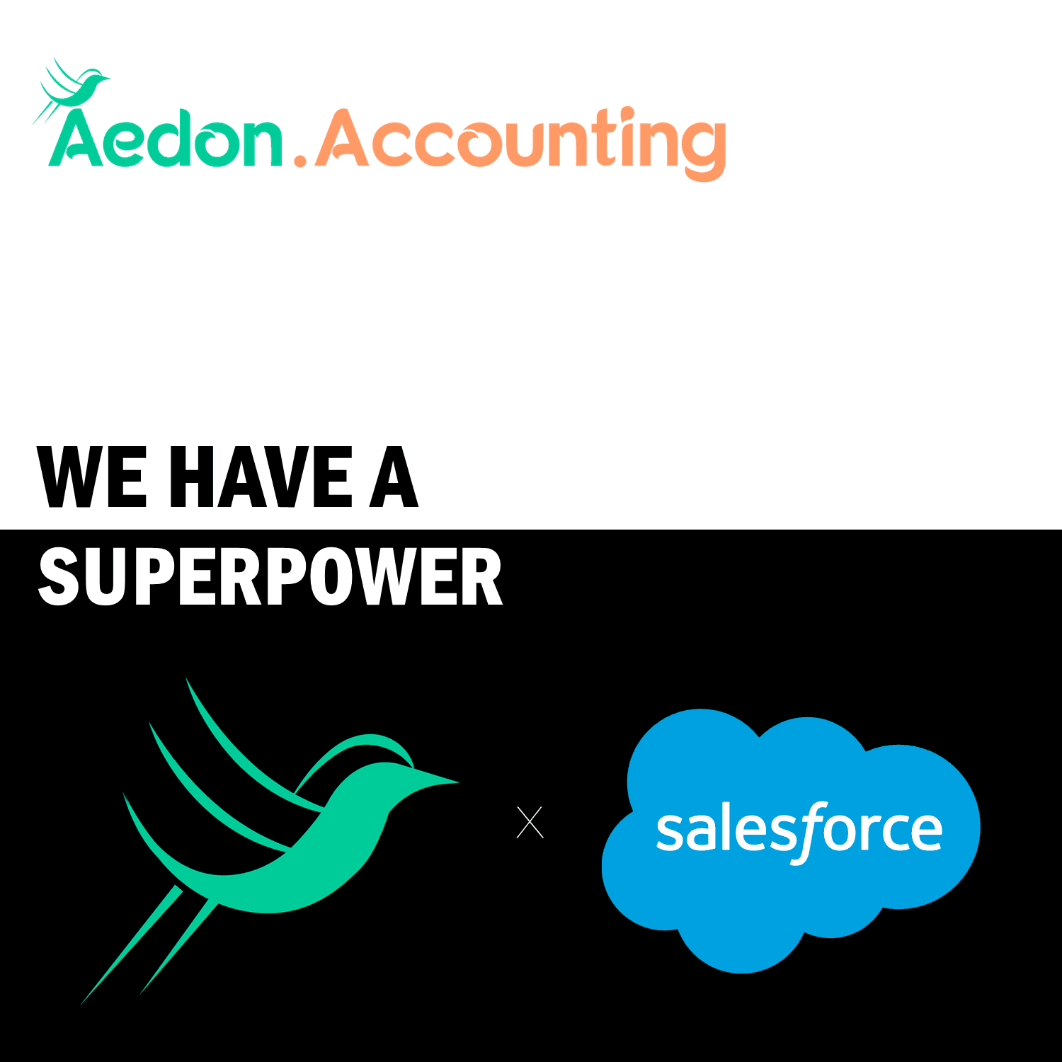 Salesforce makes Aedon.Accounting better than other accounting solutions.