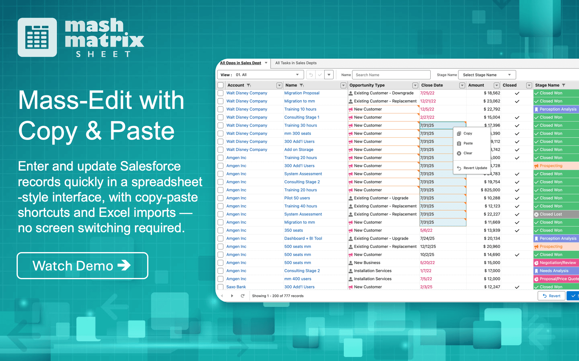 Mass-Edit with Copy & Paste - Update Salesforce records with copy-paste shortcuts and Excel imports
