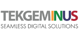 Tekgeminus Solutions logo
