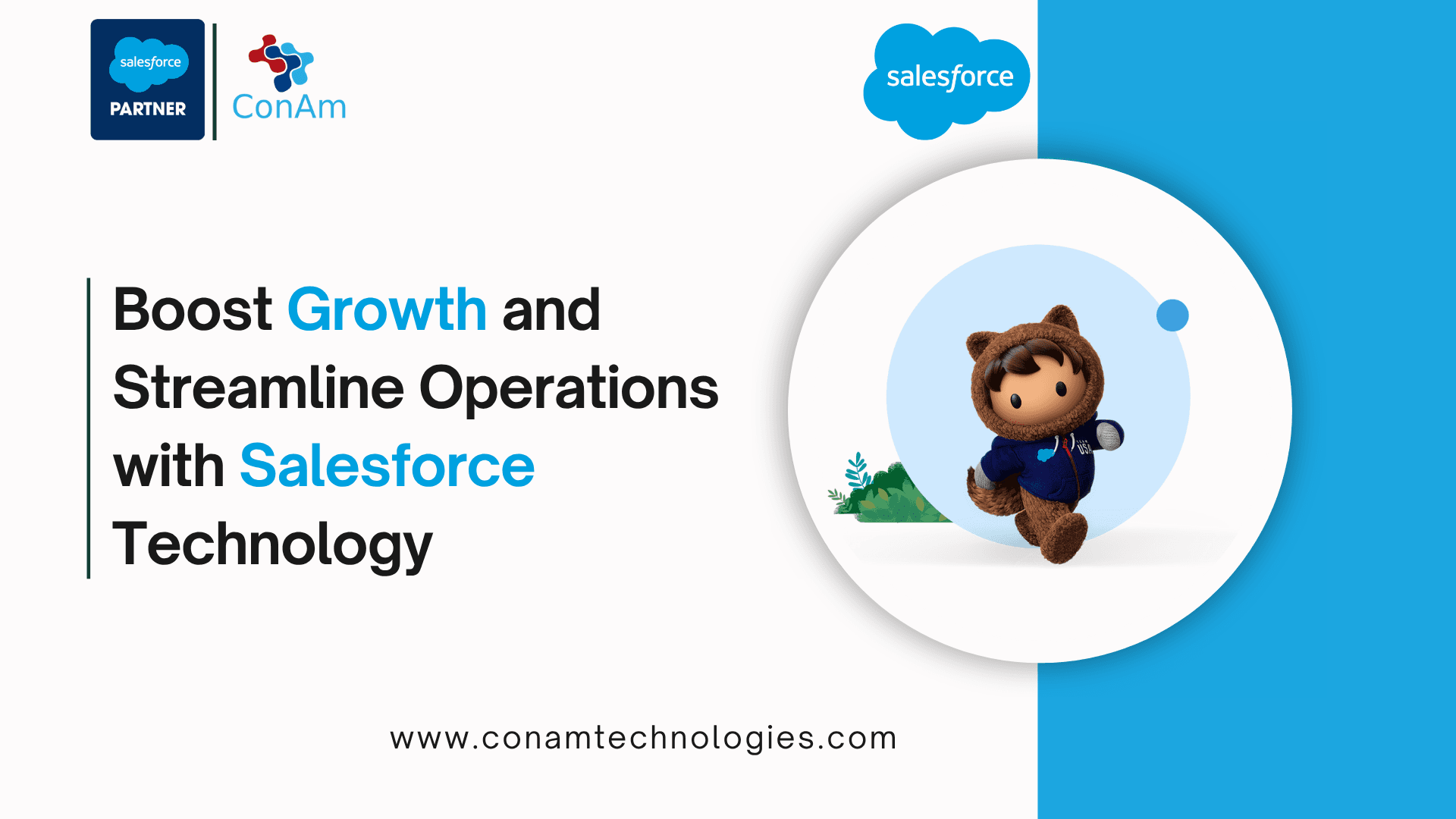 Conam Technologies image 1