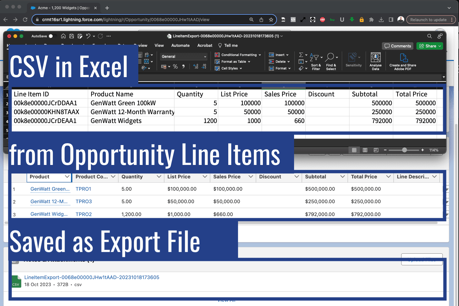 Opportunity Line Items saved as CSV file export