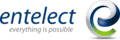 Entelect logo