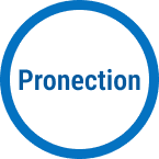 Pronection LLC logo